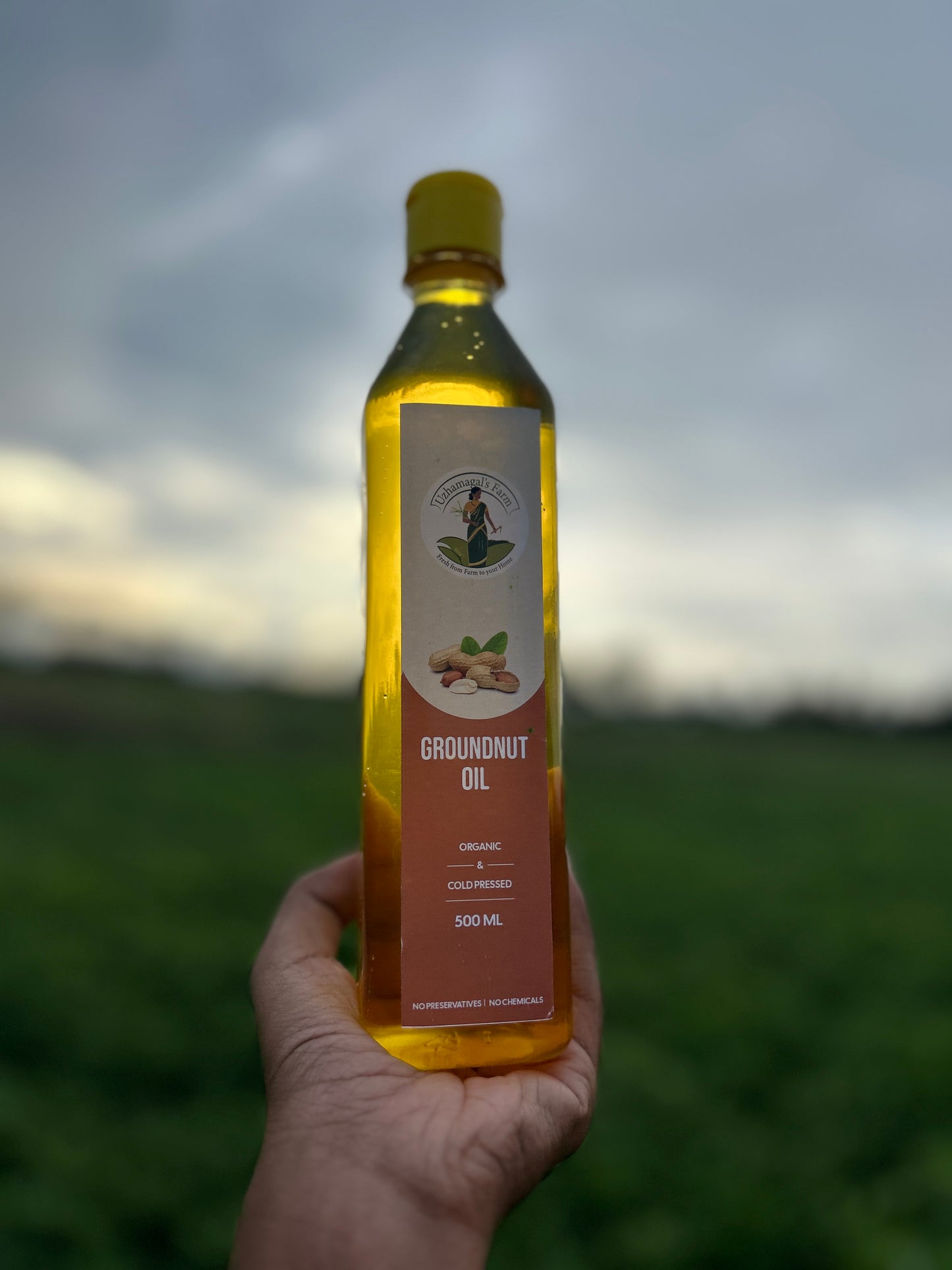 Groundnut oil