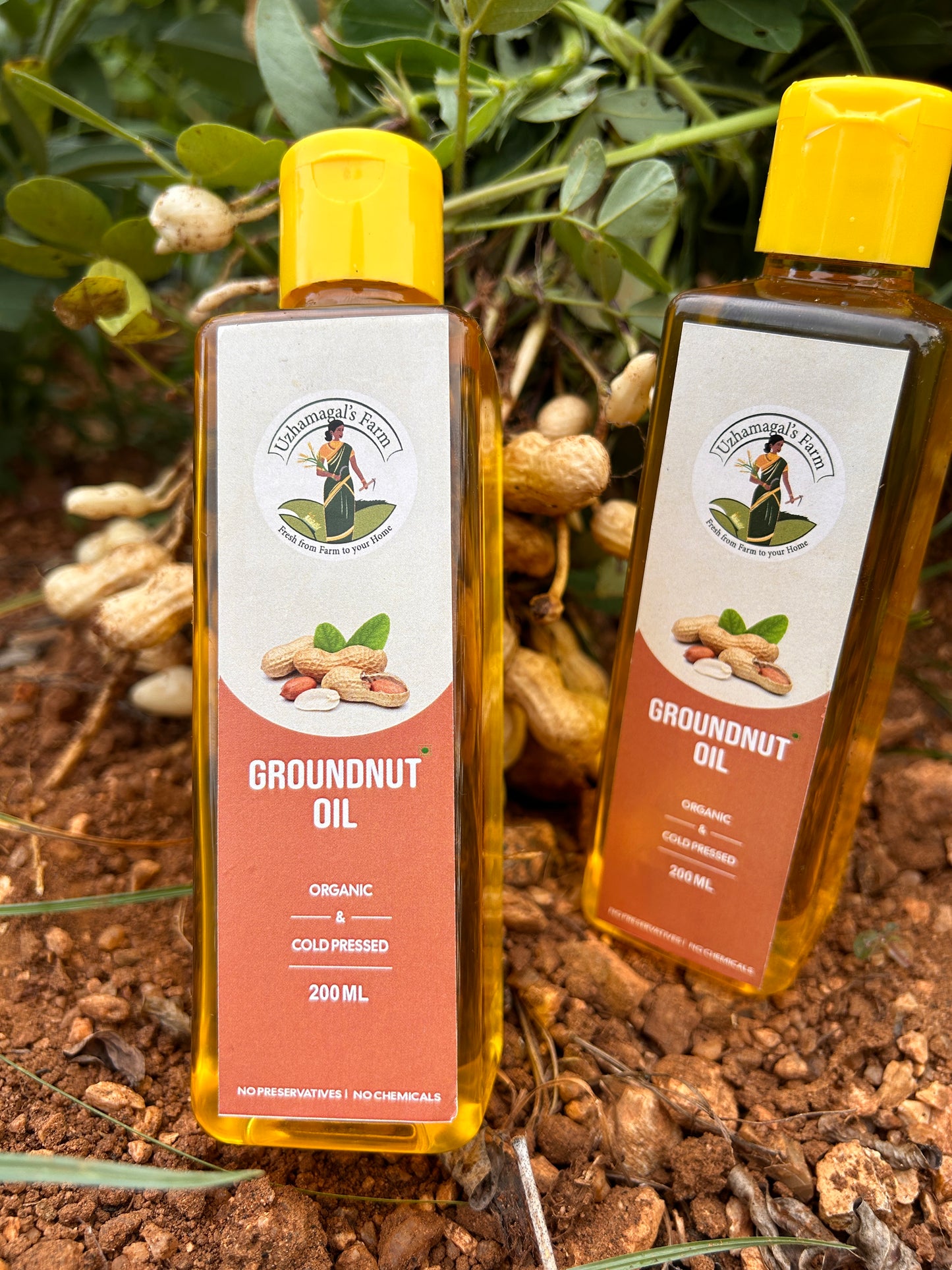 Groundnut oil